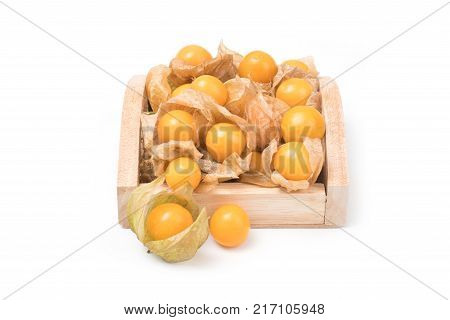 Cape Gooseberry physalis fruit (Physalis peruviana) isolated on a white background