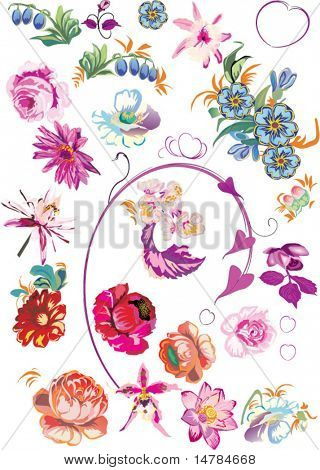 illustration with collection of flowers isolated on white background