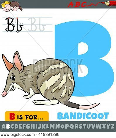 Educational Cartoon Illustration Of Letter B From Alphabet With Bandicoot Animal Character