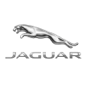 Jaguar/捷豹