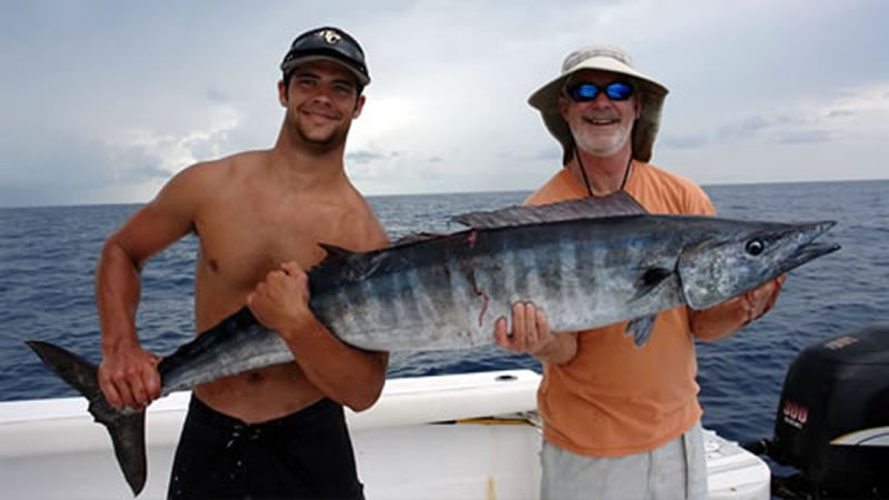 Trophy fish are in St Augustine around floating debris