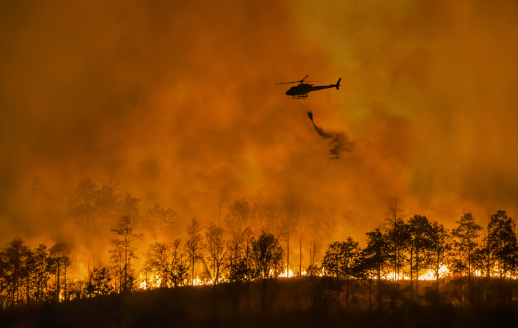 Imagem Incêndios forçam 130 mil a fugir de suas casas em Los Angeles