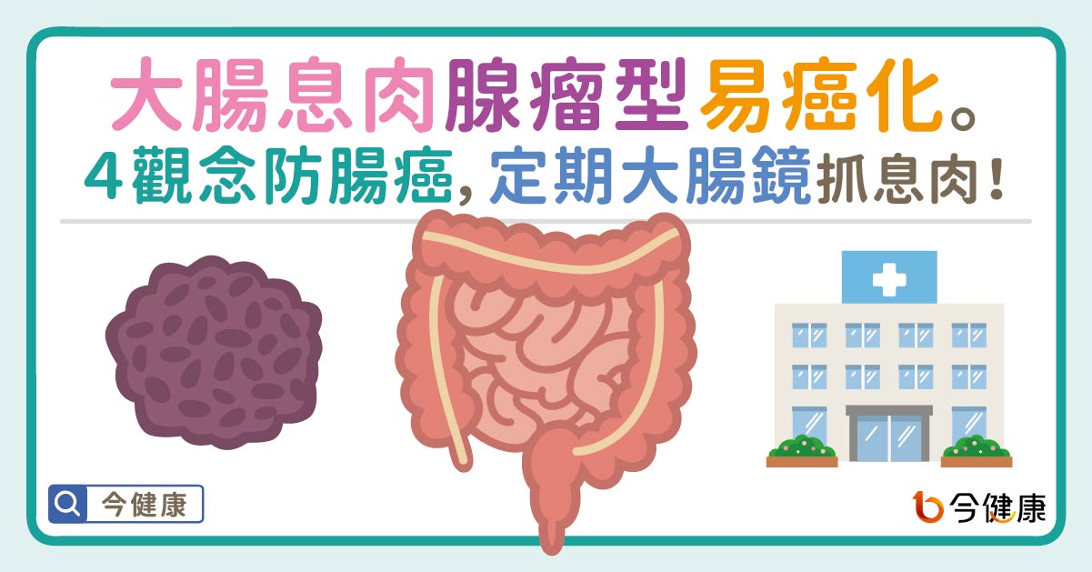 大腸息肉腺瘤型易癌化。４觀念防腸癌，定期大腸鏡抓息肉！