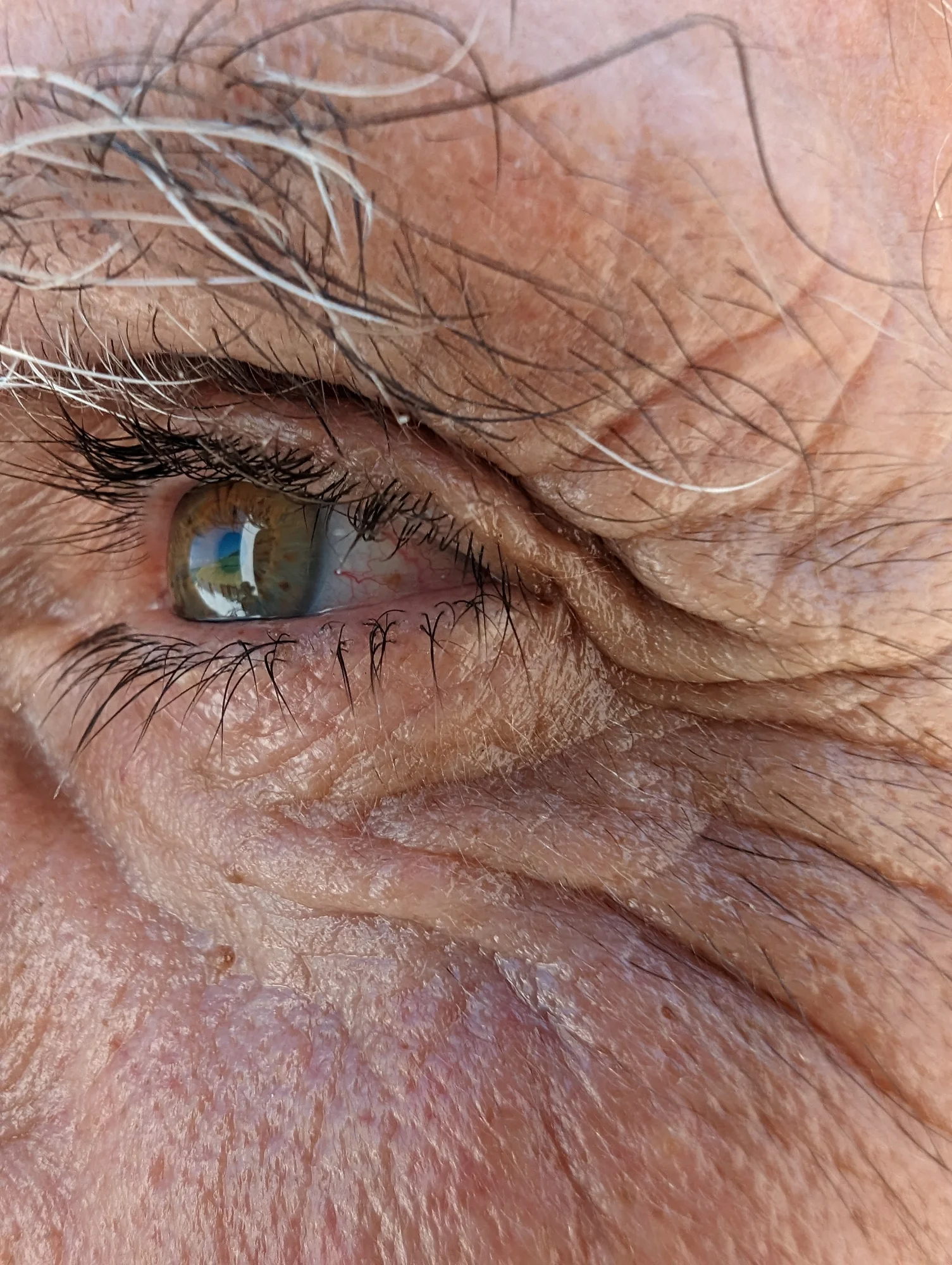 A photo of a person’s eye and eyebrow