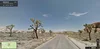 Joshua Tree - Street View