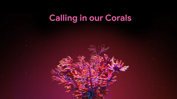 Image of pink glowing coral