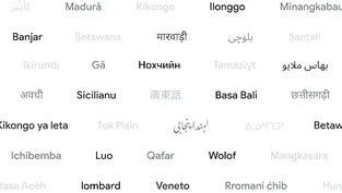 Google Translate new languages 2024