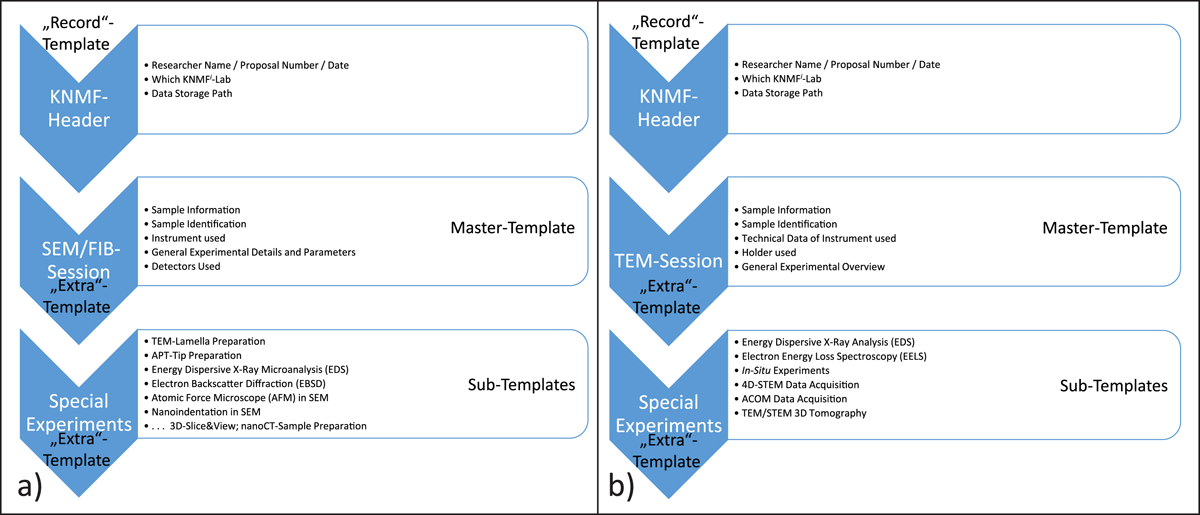 Flowchart showing typical process steps for SEM/FIB, and TEM session.