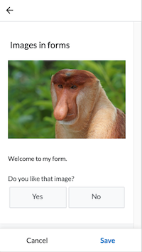 Images in forms sample app