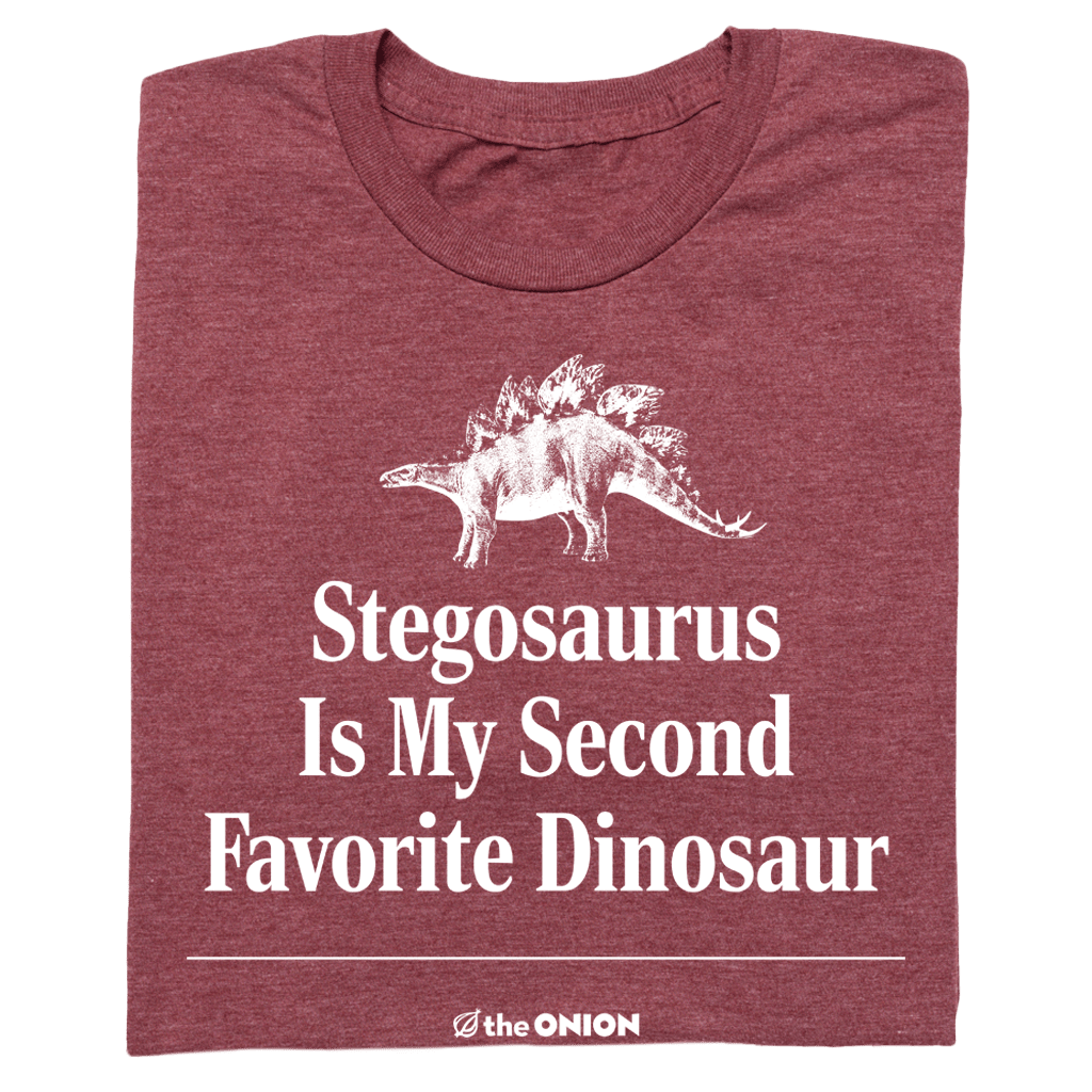 'Stegosaurus Is My Second Favorite Dinosaur' Graphic T-Shirt