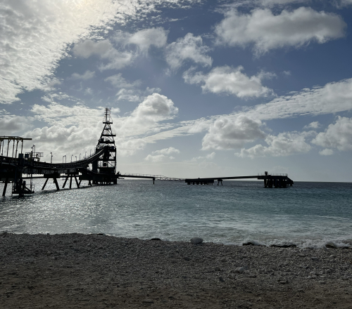 Salt Pier is one of the best snorkeling spots on Bonaire