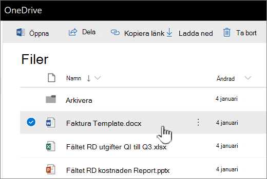 OneDrive med markerad fil