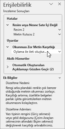 İnceleme sonuçlarını içeren erişilebilirlik bölmesi