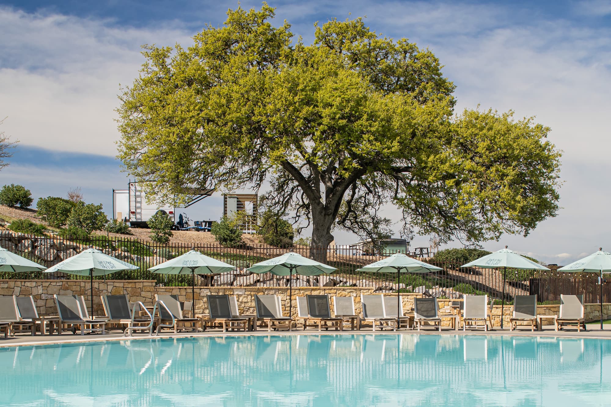 a pool with chairs and umbrellas by a tree