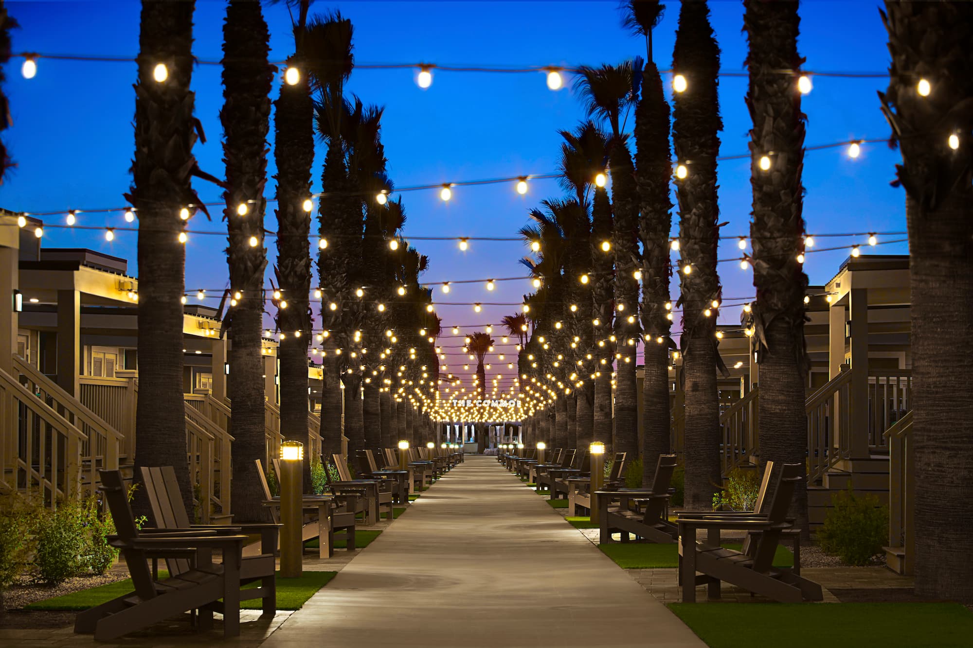 a walkway with trees and lights