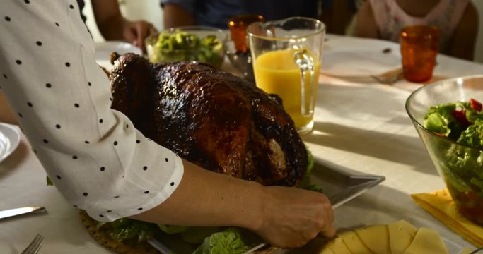 Portrait of pretty woman with roasted turkey on background of happy family