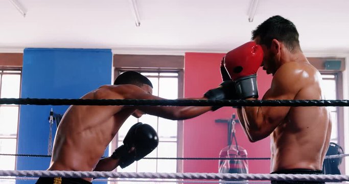 Two boxers fighting in boxing ring