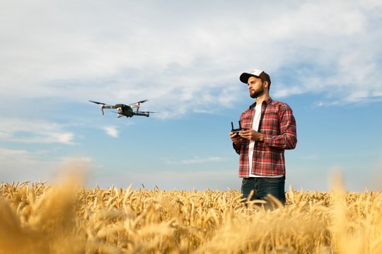 Compact drone hovers in front of farmer with remote controller in his hands. Quadcopter flies near pilot. Agronomist taking aerial photos and videos in a wheat field