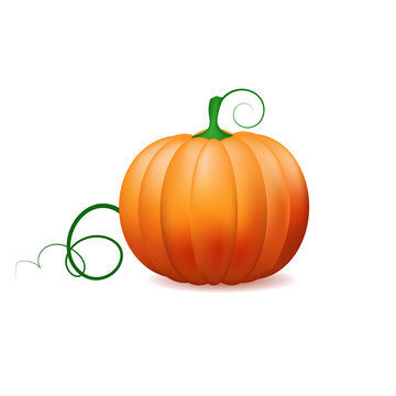 Pumpkin icon ,Vector vegetables.