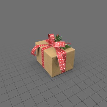 Christmas present with ribbon