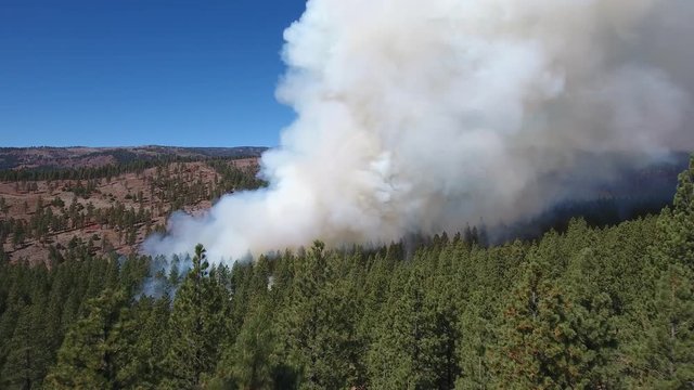 Aerial Low Toward A Forest Fire.