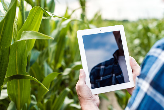 Farmer in the field holding modern tablet, closeup photo