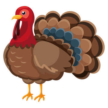 cartoon turkey icon