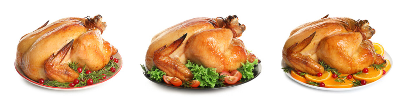 Set of delicious roasted turkey on plates against white background