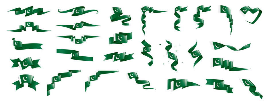 Pakistan flag, vector illustration on a white background