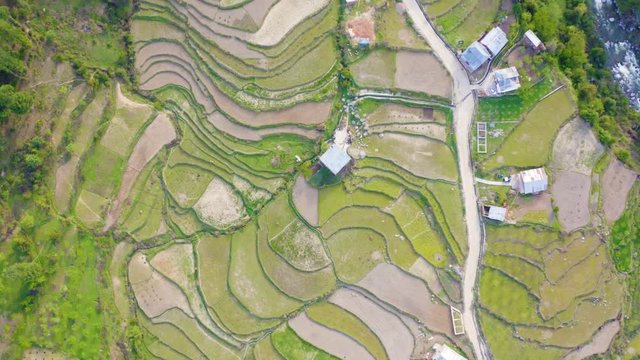 Epic aerial shot of terrace farming