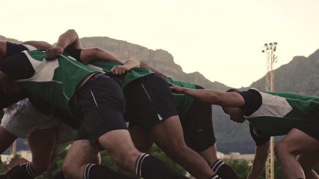 Rugby players doing a scrum at the field. Rugby players fight for the ball on professional rugby stadium. 