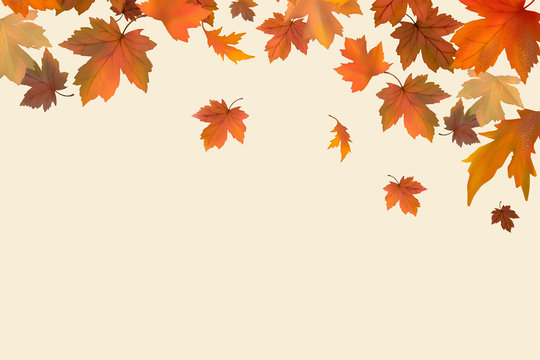 Autumn leaves background