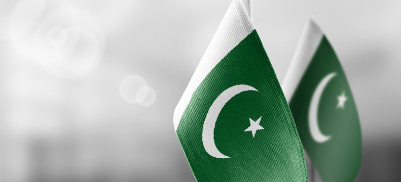 Small national flags of the Pakistan on a light blurry background