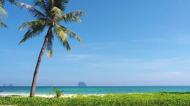 footage of palm tree white sand beach and blue sky and wispy clouds over the blue ocean, clear good air outdoor scenery. summer hot weather sunny day and season. traveling on holiday Thailand beach.