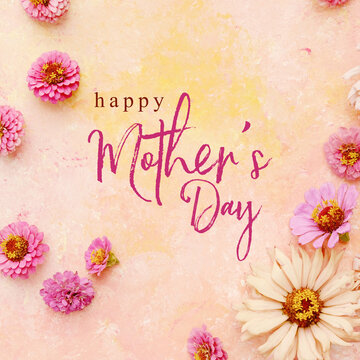 Square background with flat lay of zinnia flower blooms on light pink pastel texture with Happy Mother's day text for holiday graphic card.