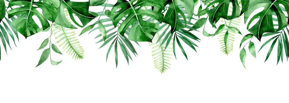 seamless watercolor border, banner, frame with tropical leaves. green leaves of monstera, palm, fern isolated on white background. seamless print clipart