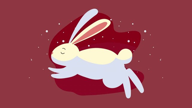 cute rabbit jumping animal character