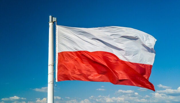 Waving on wind polish national flag