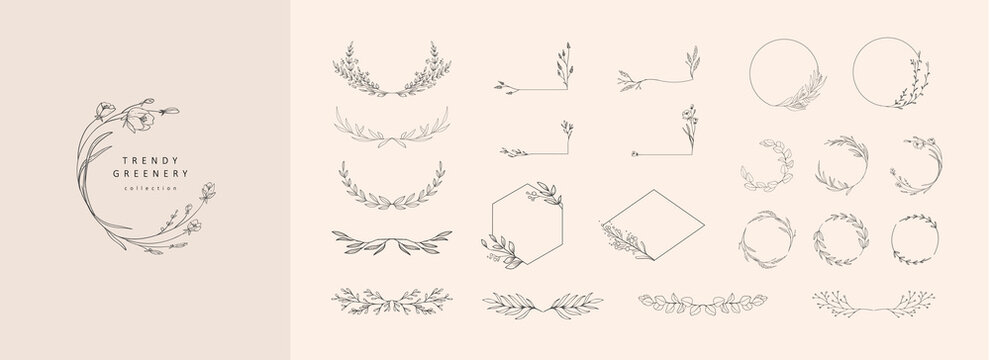 Set of elegant floral logo elements. Borders and dividers, frame corners and branch. Boho Hand drawn line wedding herb, leaves for invitation save the date card. Botanical rustic trendy greenery