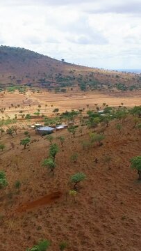 Vertical aerial footage of the dry fields with trees and mountain landscape