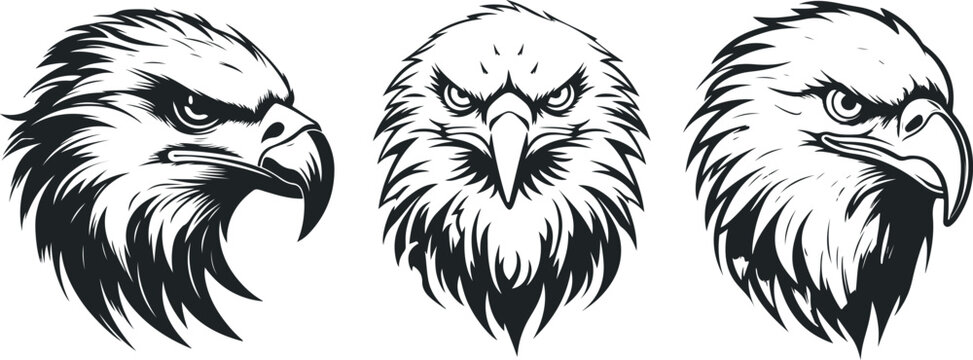 Eagle heads heads black and white vector, Head of an eagle in the form of the stylized tattoo. Eagle Mascot Vector Illustration