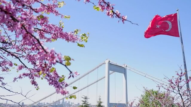  The Turkish flag is waving in the wind in a park overlooking the bridge over the Bosphorus and beautifully blooming sakura. Travel Istanbul background photo