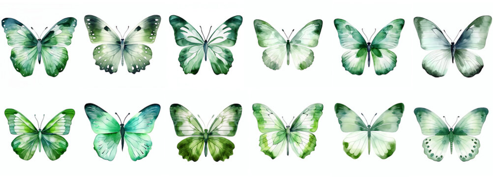 green watercolor aquarelle butterfly set butterflies isolated on transparent background clipart