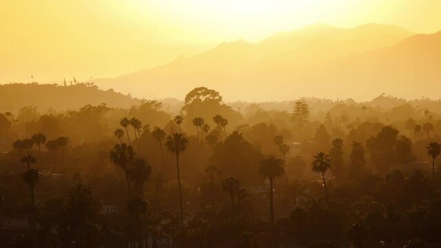 Birds eye view of sunset lights falling on trees tops and mountains, Santa Barbara, California, USA. Aerial view of city skyline with orange sky . Breathtaking landscape at the sunrise, 4k footage 