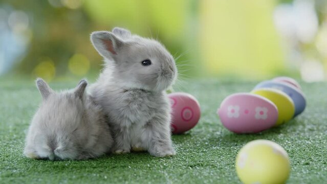 Two baby bunnies on artificial green grass near easter eggs. Symbol of Easter day.