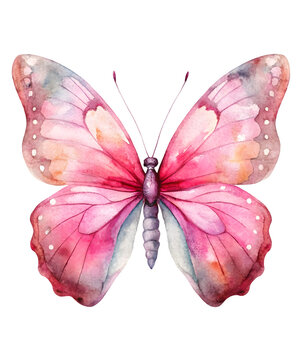 watercolor butterfly clipart