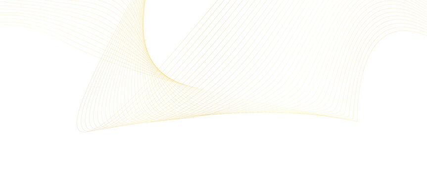 Vector white background with gold line waves Luxury banner Transparent background design elements wave of many lines abstract.