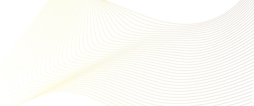 Vector white background with gold line waves Luxury banner Transparent background design elements wave of many lines abstract.