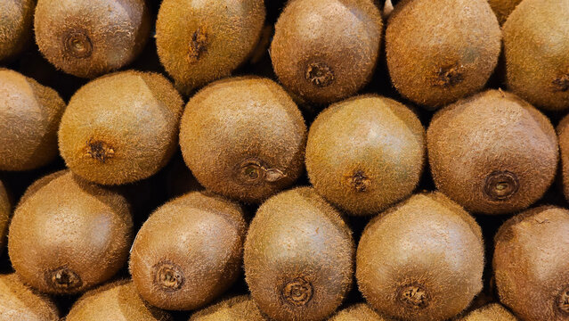 Close up of an array of ripe, whole kiwi fruits; a close up shot of a display of loose kiwi fruits as a background.