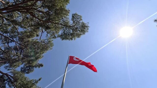 The developing flag of Turkey against the sky 